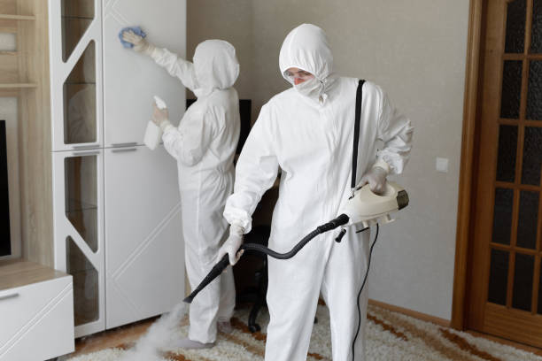 Best Professional Mold Removal  in Victoria, KS