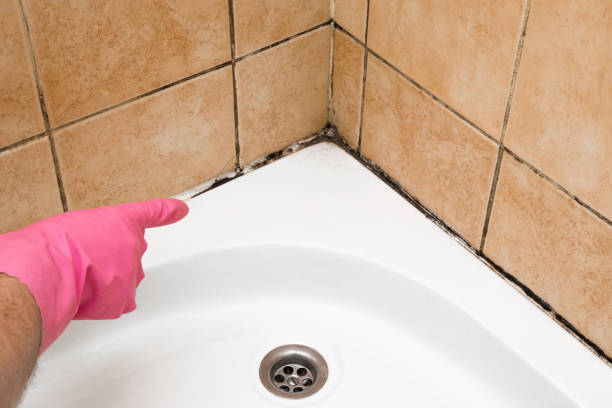 Best Home Mold Removal  in Victoria, KS